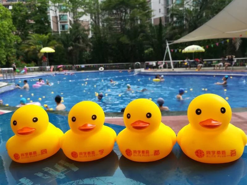 夏天,泳池,小黄鸭,同学都荟2018首届小黄鸭集福节来啦!